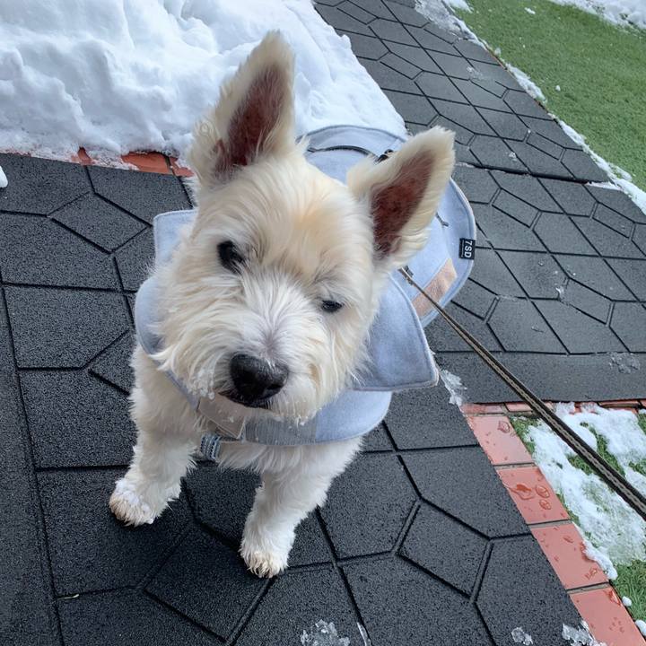 746edc66 365c 41c2 968e c1c9ed4167a2 1706155218275