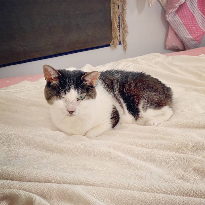 746ede38 c0db 4506 bb1f 1f5f0863ad85 1595805428688