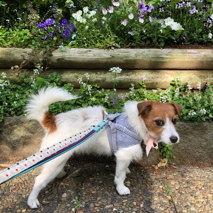 746f6939 08c7 4506 b381 0b1f08217cda 1556840939908