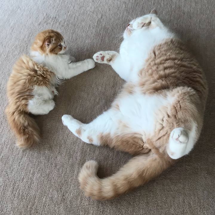 746f875f e1e9 4faf b5a1 297ddc203b72 1519879937387