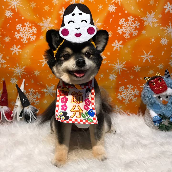 746f8d17 5808 460d b0b5 14cff41365c8 1549121189297