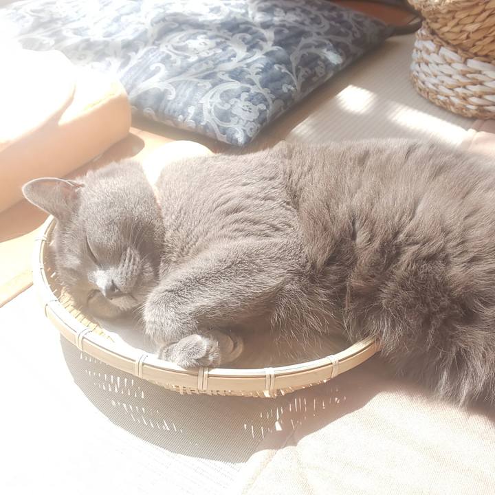 746fafb6 3a71 4627 8877 c38ef3ebf7c4 1554777437932