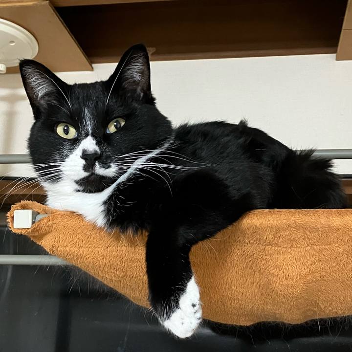 746fb6da a608 4e95 9b44 a96a37905594 1673581224992