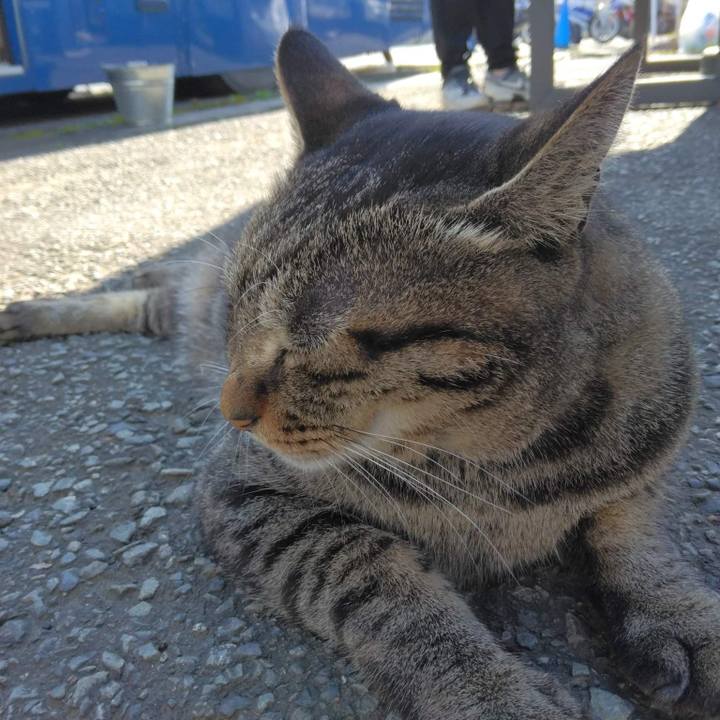 746fc428 0d8f 43fb 8074 95edef6e1b5e 1664875738247