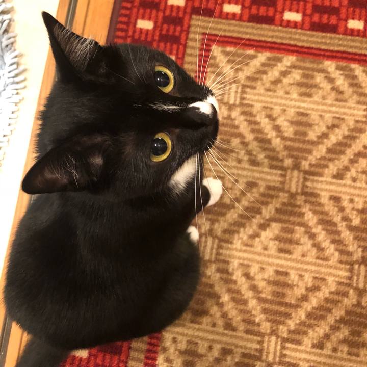 746fc4be 8c1c 423b bfd2 bc60fe8ae4b2 1512167642233