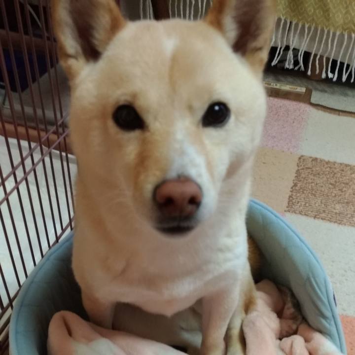 746feead cdab 438d 9f2e f14338048b51 1577142006688