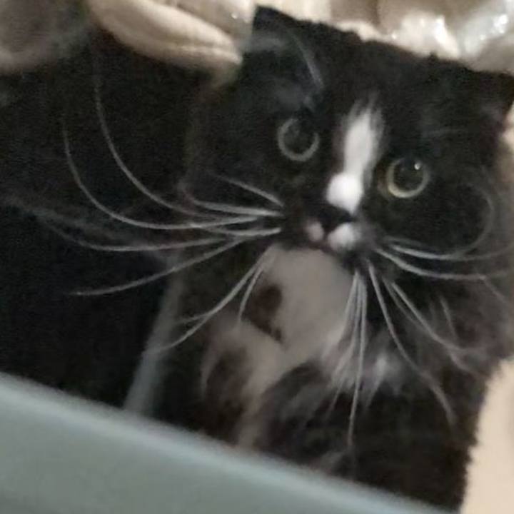 74702677 c2b1 4172 9264 bb922ee73fd9 1751784786840