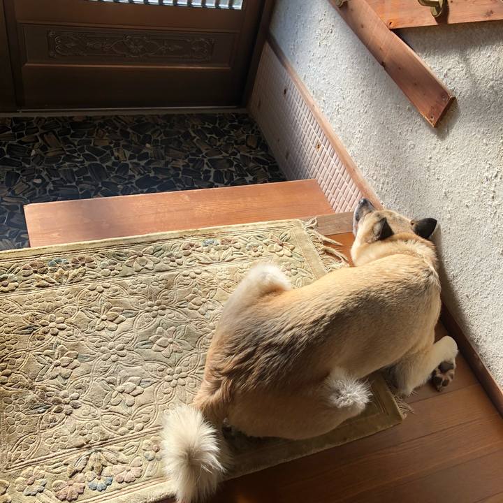 7470519e e831 40fc 98eb 3cbd411ef0f6 1600860800990