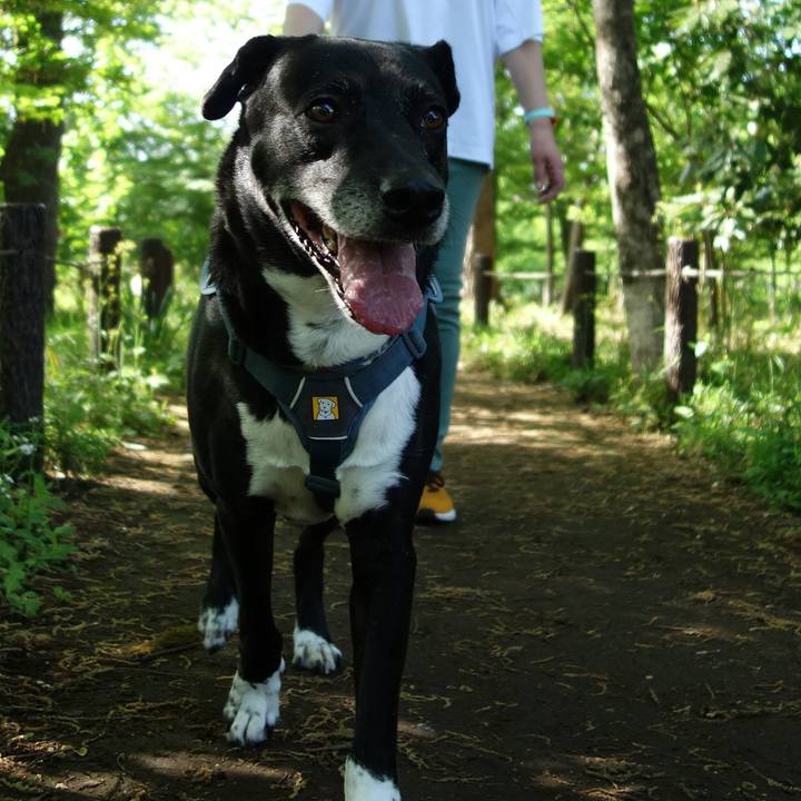 74706d01 ee1a 41db a001 cd1693ba83a7 1714266692223