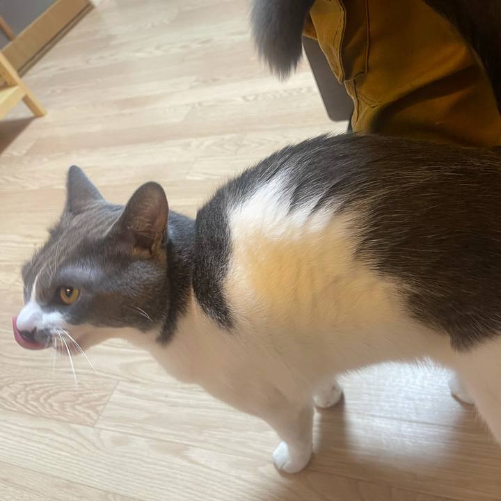 74707368 d94d 4981 8e2e 9bebbc5c0a7f 1624713517421