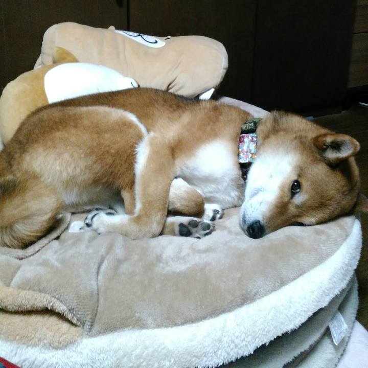 7470931a f827 49b3 b967 84ecf37607e0 1523017227722