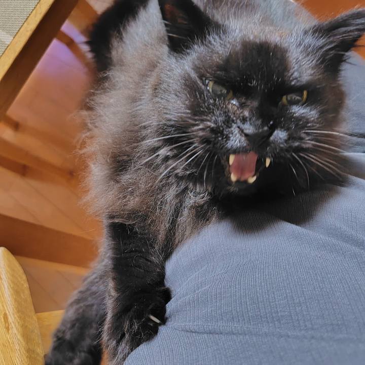 74709730 f9e8 4e6a 8cb3 62f26bb2263b 1724939452089