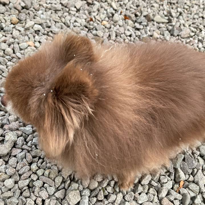 7470a1da eb52 4282 82d7 50021540e190 1699655440717