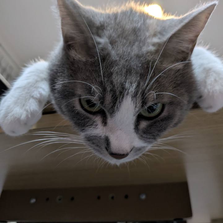 7470ac35 3a01 40d6 80e3 8ad1dc077bf5 1756122866677