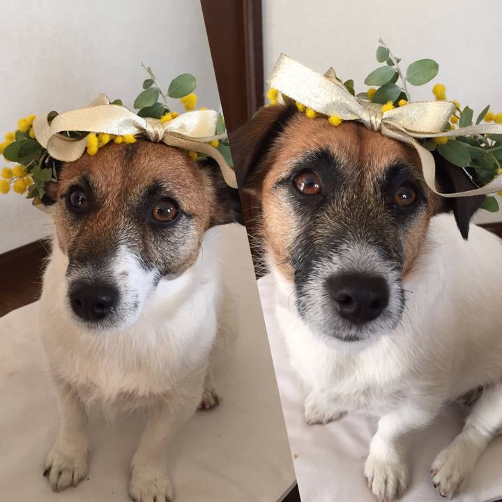 7470b3a3 66a9 461d bda1 7aff74755b96 1552790147757