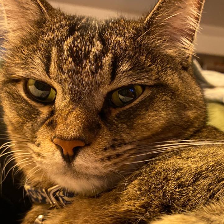 7470c43b 237e 49cb a5d6 1811641af0ad 1573903342313