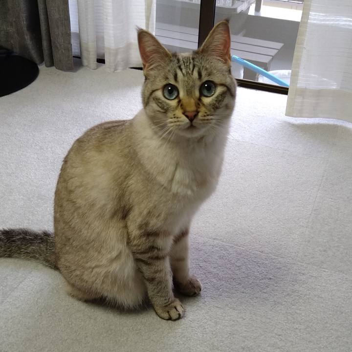 7470c775 7ea9 47c6 8d91 371e3661a243 1653121504764