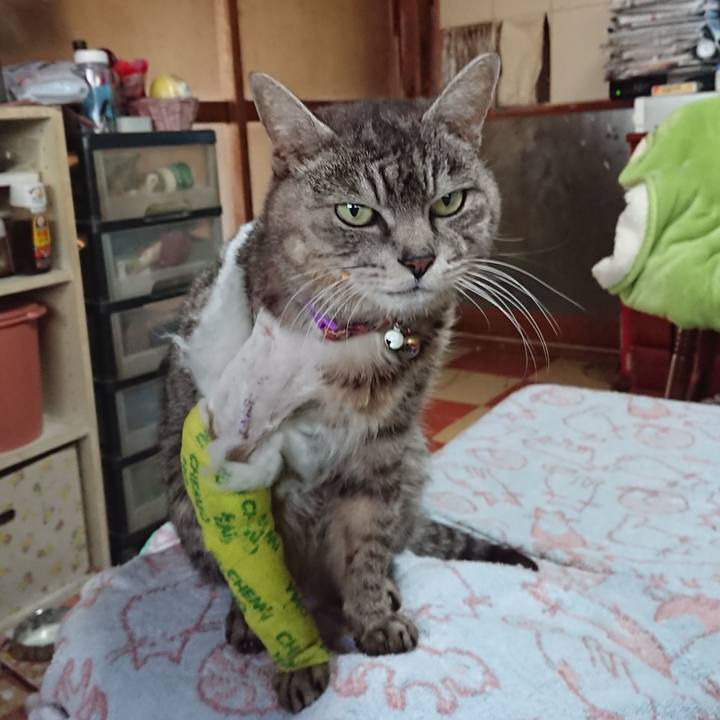 7470f217 e9a5 42da 8198 b126182f89fe 1586556022719