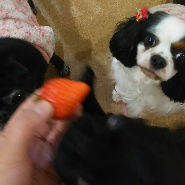 7470f731 c8af 4936 a0cb c082b0396a09 1515244090811