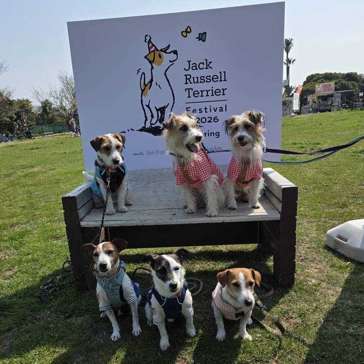 7471096a 8442 4c5b a956 5d990d68bb40 1774779169817