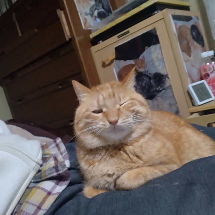 747163ee 6b9f 4b05 b15e d1d96206137c 1769847725461