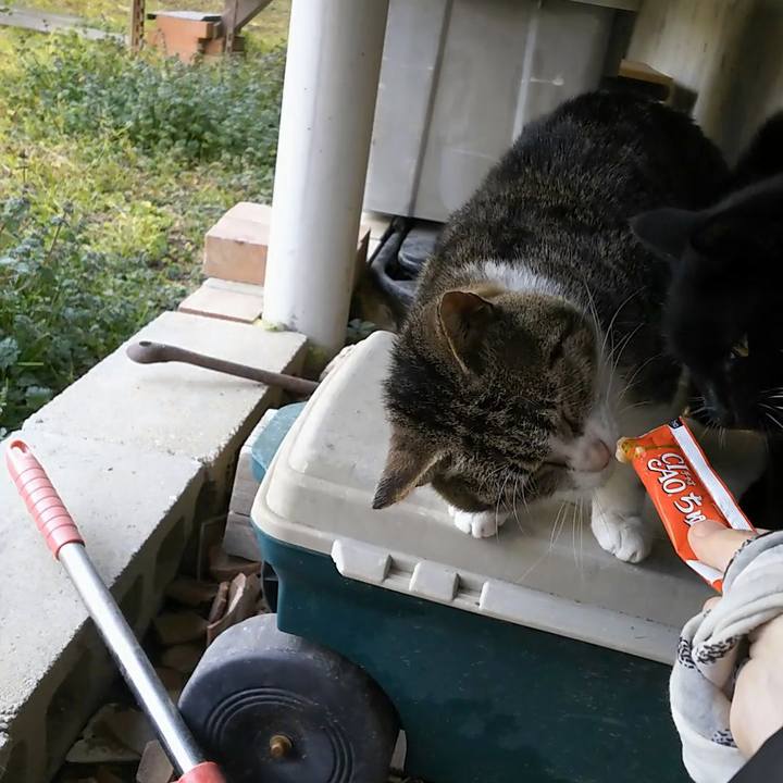 7471839d 2f2f 4867 9ebc 8ef7464d8731 1549436972639