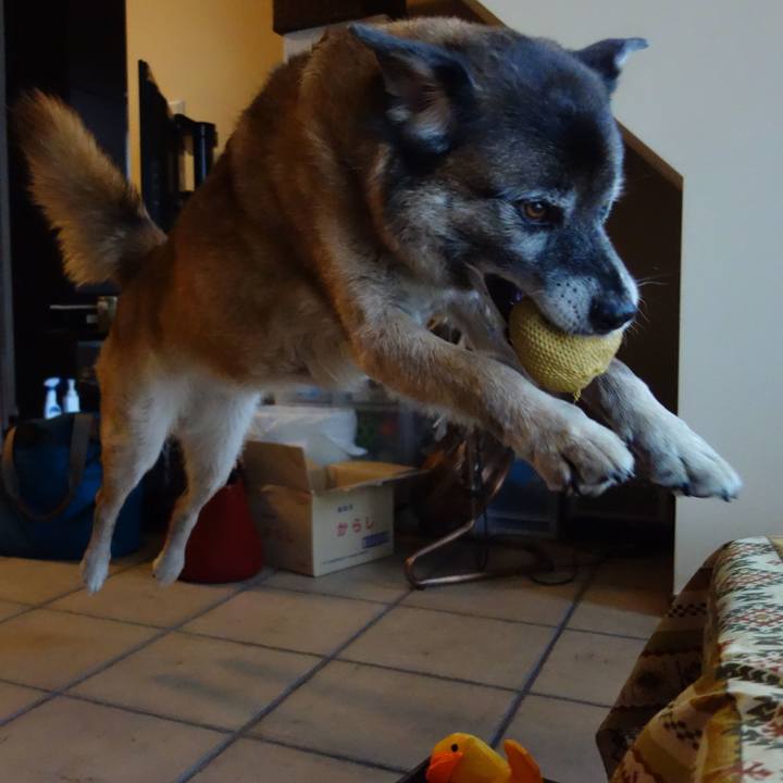 74719f1f 7358 4024 826c 018d44fb270d 1532134177292