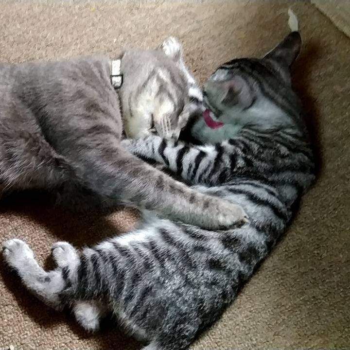 7471df87 ce4a 401f 8b67 115309b0a136 1693830046173