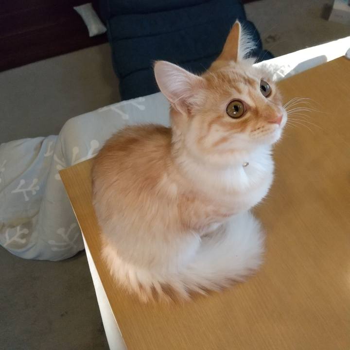 74728685 4151 43b2 ac74 df2bdb1c83ff 1615809801209