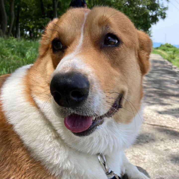 74729040 9127 4071 81b5 d3cbe0904389 1654051681340