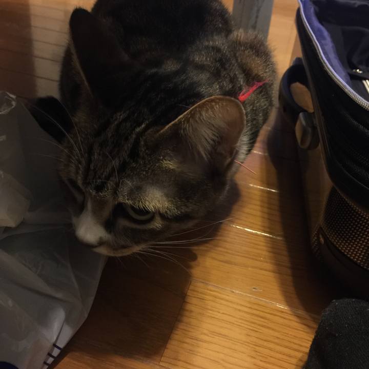 7472944f 614d 483c bb33 806e4b73d523 1547311526765