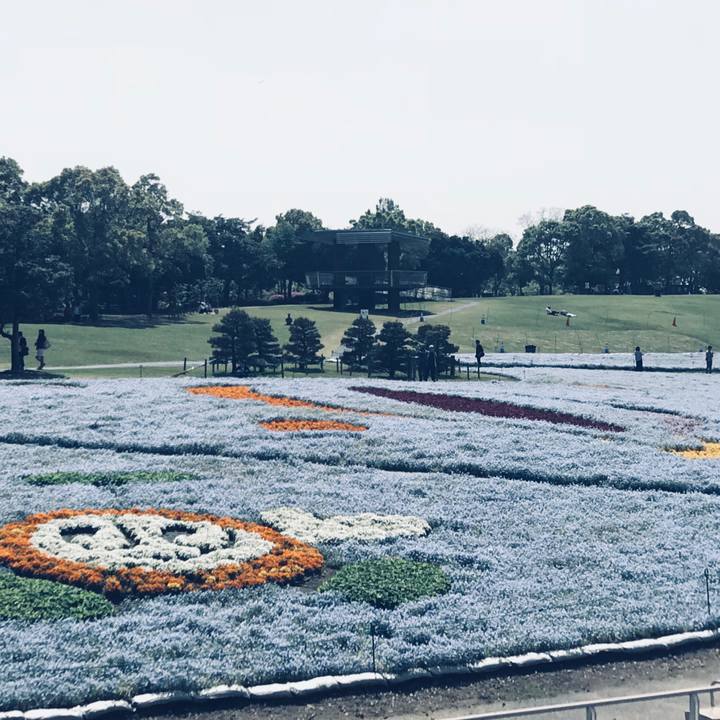 7472ab27 132f 4669 b84e bafe539da89f 1523869388780