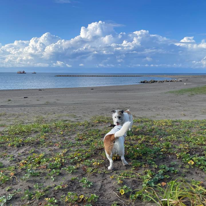 7472b5ee 58d7 43da a2cb 9e2d2a8d6d56 1759318586981