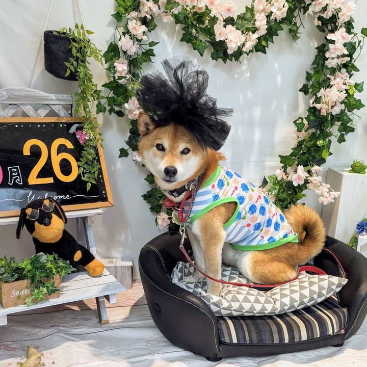 7472b83d ad8b 4d76 a5db d3e8c4964241 1716823735260