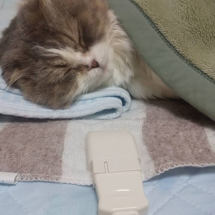 7472dbbc 3348 4450 8788 fe0590fba41b 1673435017829