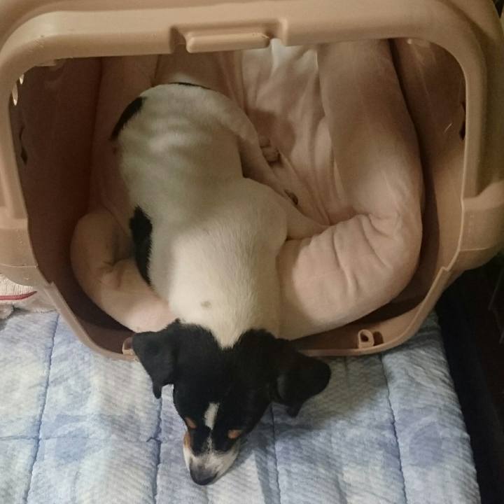 7472ea81 ded3 43d6 bc48 b0471f6c22b6 1510754107880