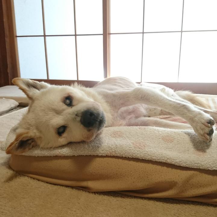 7472f344 03f0 4fb1 a898 dc3d324dc6ee 1537159663086