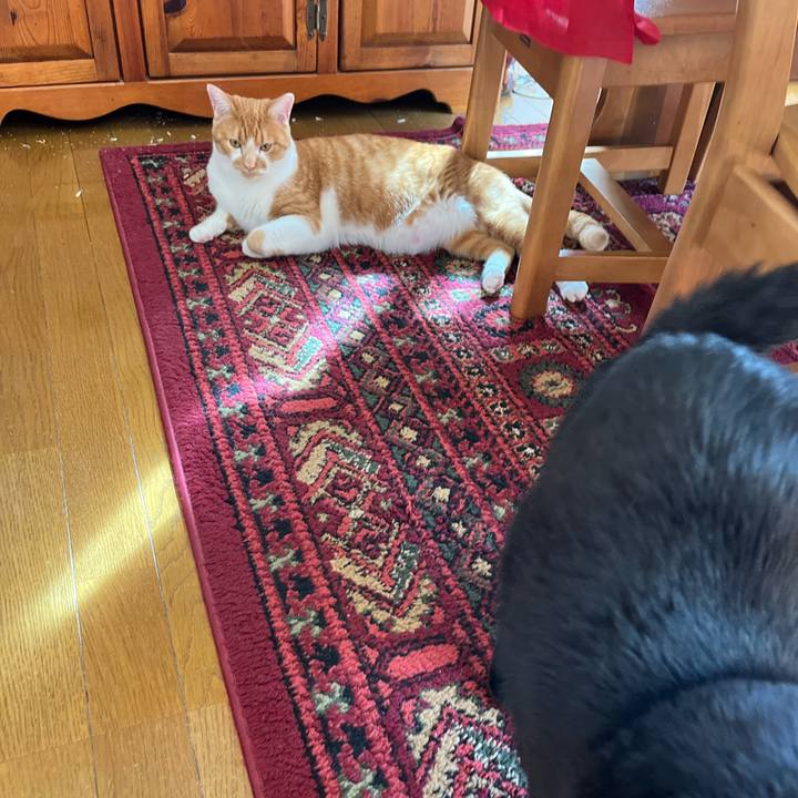 7472fe76 f099 4101 abe0 721c5bdcad14 1687301095258