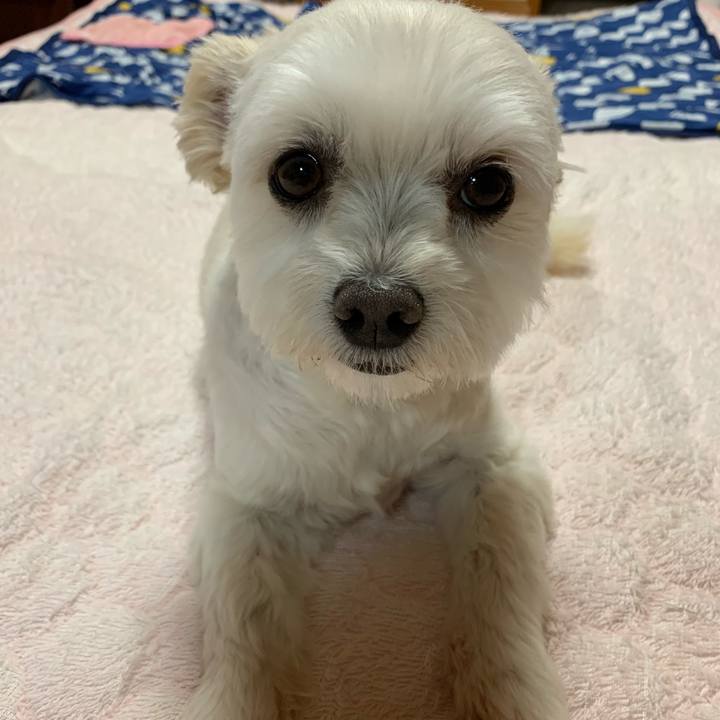 74733b2d 0183 468f b36d 397517cf7f9a 1623149860450