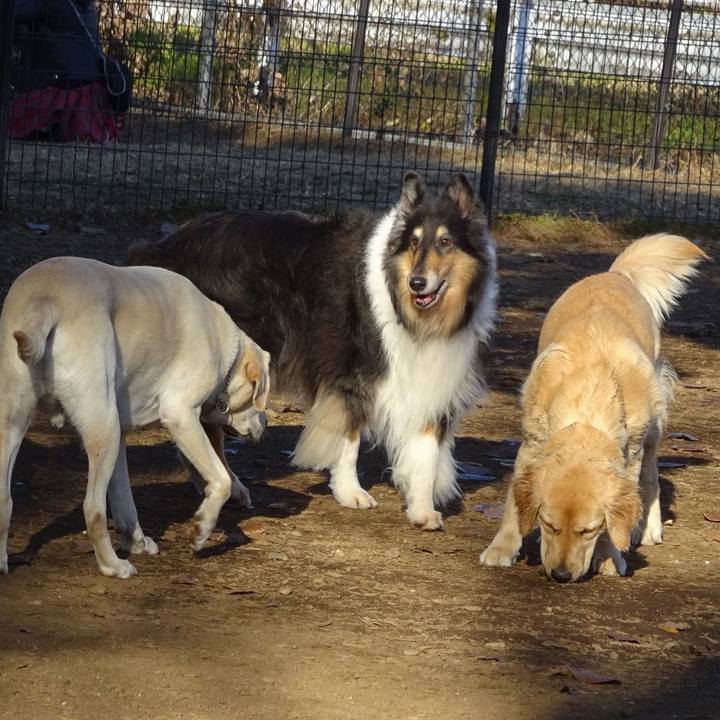 74734434 f942 40b2 8838 67098144d975 1575810560082