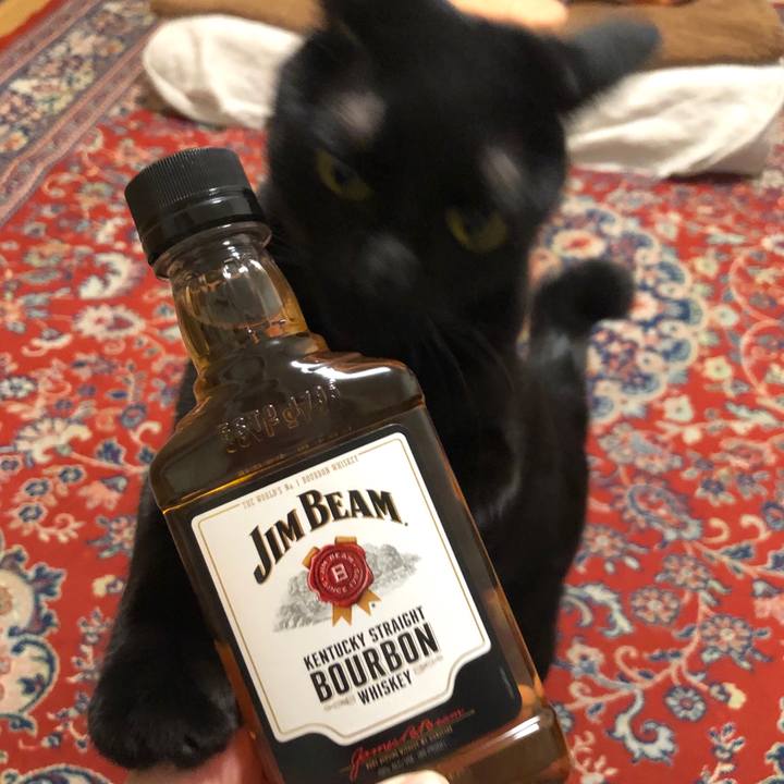 747345cc cef1 410b bb5c 974e2c9225f7 1547552767203