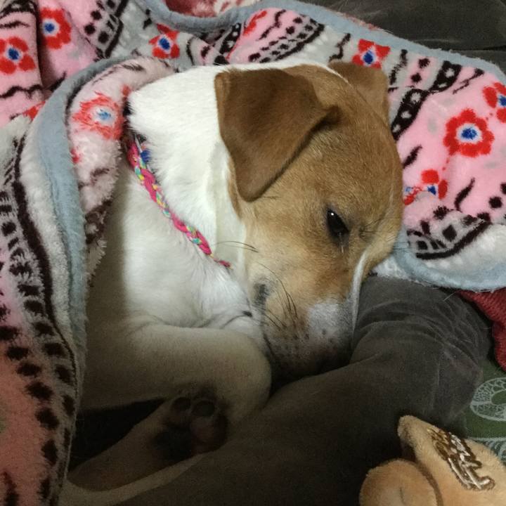 74739f30 fd50 4dfb a19a 77b98c5f0193 1512994885377