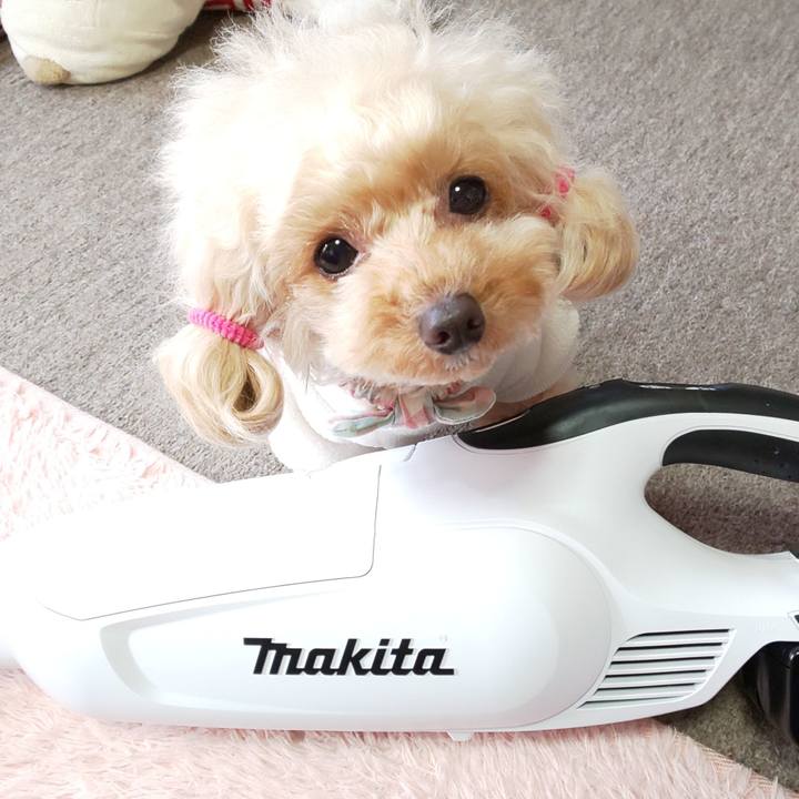 74739fed 7924 4bc2 bda9 343241f965af 1581064906407