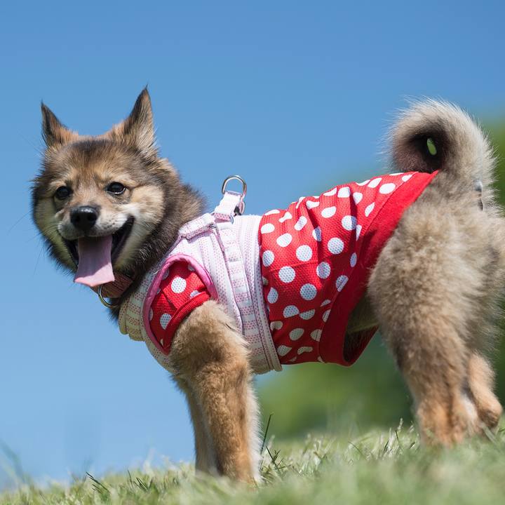 7473b622 38c3 4e42 b864 1328bdd8c9b7 1525166532706