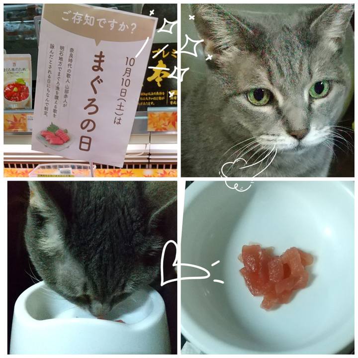 7473c172 f013 4428 bca2 6366579cfaec 1601984165567