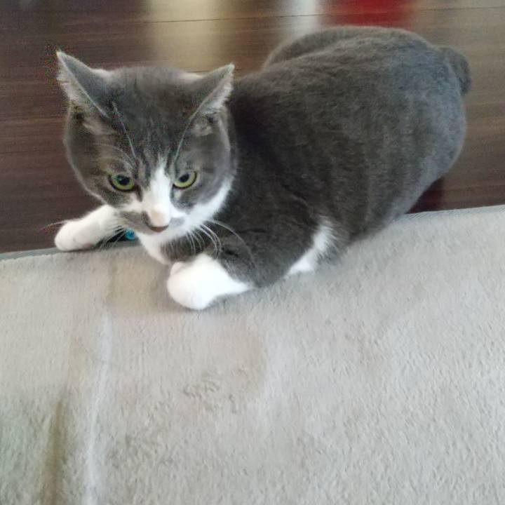 7473d415 faee 4586 9665 a5b35e087ca6 1632174579395