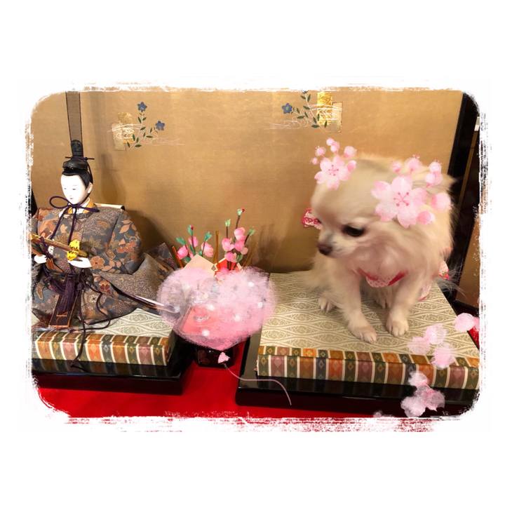 7473e298 d4f7 40ac 8c66 0d6c73ac1566 1520042341258