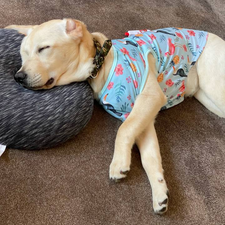 7473ec6b 5bd9 4732 9a64 b00a255e62af 1621675912366