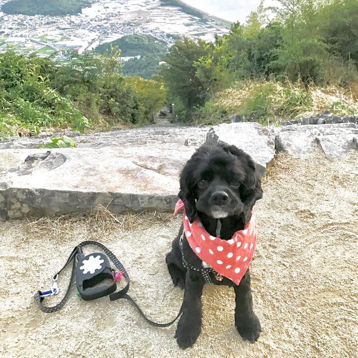 7473fa52 c6b2 4259 9486 26954306ddcc 1534682194345