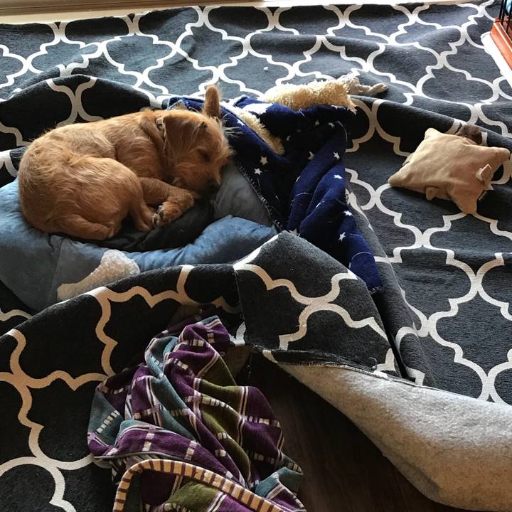 74740370 75b0 45f9 86d5 a79cb4c437e6 1524211601929